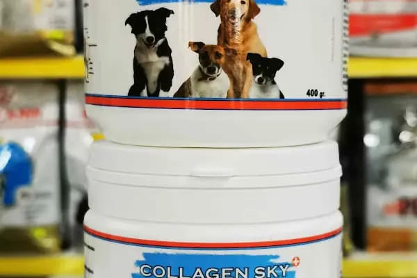 PET STORE KONYAALTI - Evcil hayvan mağazası - Antalya Konyaaltı