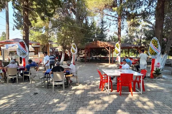 ÖĞRETMEN LOKALİ - Kafe - Gaziantep Araban