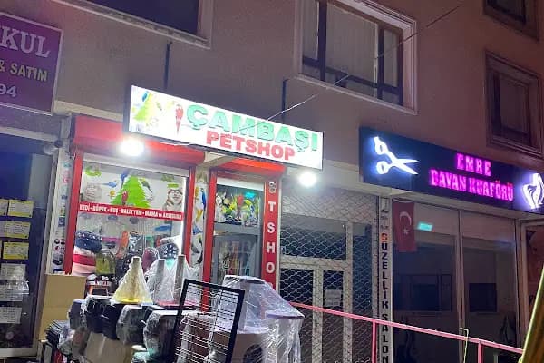 Çambaşı petshop - Evcil hayvan mağazası - Ankara Keçiören