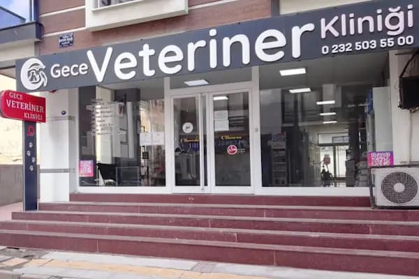 Gece Veteriner Kliniği - Veteriner - İzmir Bergama