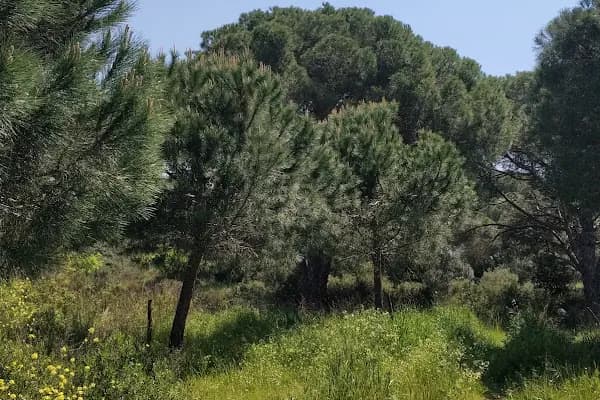 SGK Süreyyapaşa Sağlık Sosyal Güvenlik Merkezi - Sosyal Güvenlik Bürosu - İstanbul Beylikdüzü