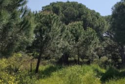 SGK Süreyyapaşa Sağlık Sosyal Güvenlik Merkezi