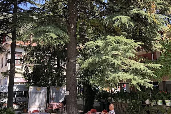 Cahit Vural Parkı - Park - Antalya Akseki