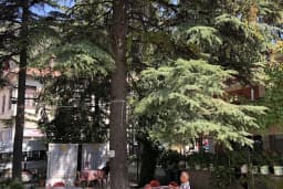 Cahit Vural Parkı