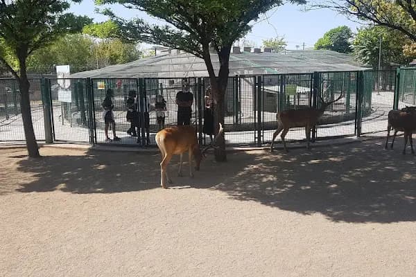 Evcil Hayvanlar Parkı - Otobüs Durağı - Ankara Akyurt
