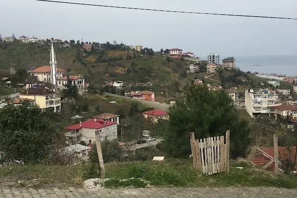 23 NİSAN İLKOKULU - Okul - Trabzon Ortahisar