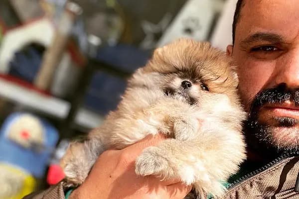 Loca store PETSHOP - Evcil hayvan mağazası - Ankara Yenimahalle