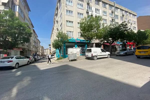 Velvet Veteriner Muayenehanesi - Veteriner - Bursa İnegöl