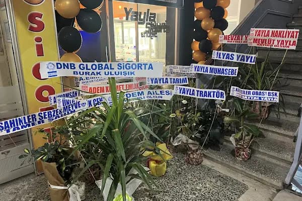 Yayla Sigorta - Sigorta Acentesi - Konya Akşehir
