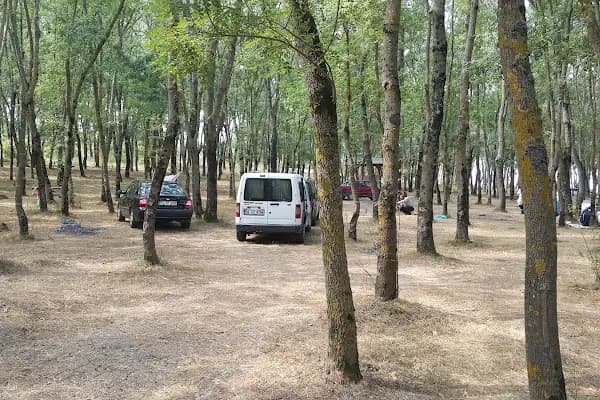 Samsun İli Kent Ormanı - Ulusal Orman - Samsun 19 Mayıs