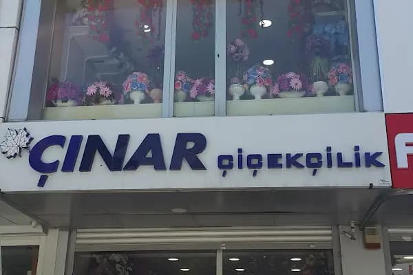 Çınar Çiçekçilik - Yapay Bitki Tedarikçisi - İstanbul Bağcılar