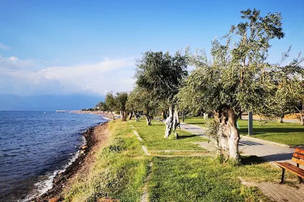 Pelitköy Bağlarburnu Sahili - Kumsal - Balıkesir Burhaniye