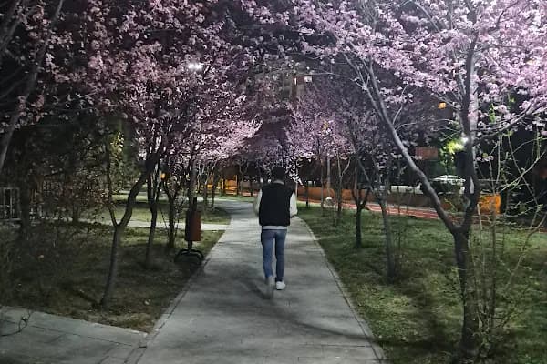 Ayakkabı Konsolosluğu - Ruh Sağlığı Hizmetleri - Ankara Yenimahalle