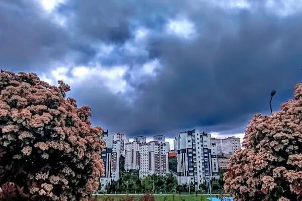 Park Kişisel Gelişim Kursu - Eğitim Kurumu - İstanbul Küçükçekmece