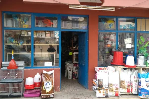BİLGİN PETSHOP - Evcil Hayvan Malzemeleri Mağazası - Bursa Nilüfer