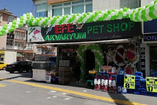 EFE AKVARYUM PETSHOP 2 - Evcil hayvan mağazası - Ankara Çankaya