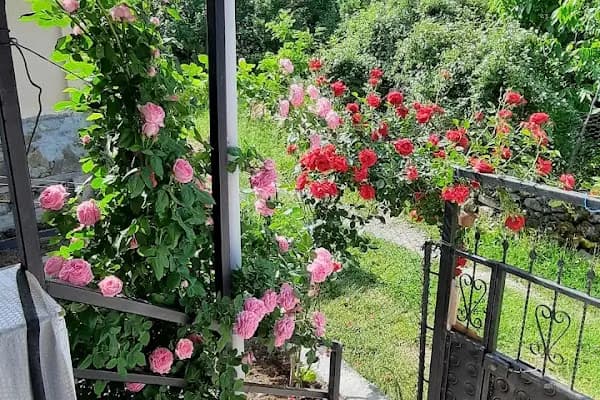 Harmancık Köyü Muhtarlığı - İlgi Çekici Yer - Çankırı Çankırı Merkez
