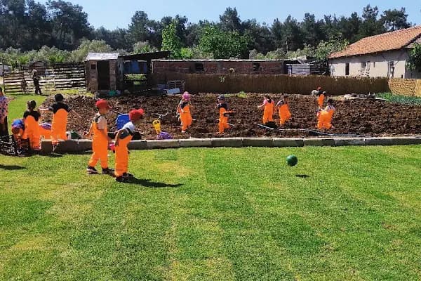 Özel Mini Kalpler Anaokulu - Anaokulu - İzmir Bergama