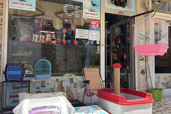 Ceren Petshop YENİKENT - Akvaryum Mağazası - Kocaeli Derince