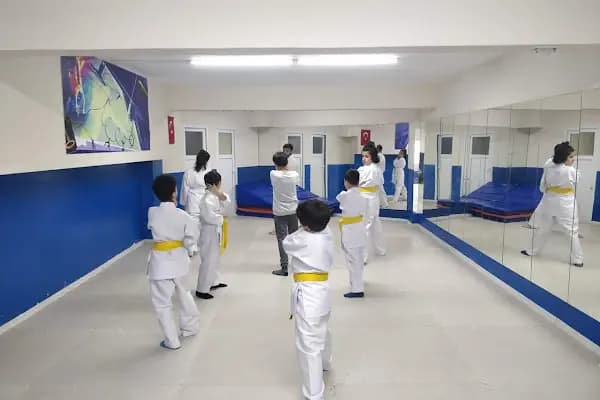 ABS Spor Akademi Jimnastik-Karate - Spor Okulu - İstanbul Ümraniye