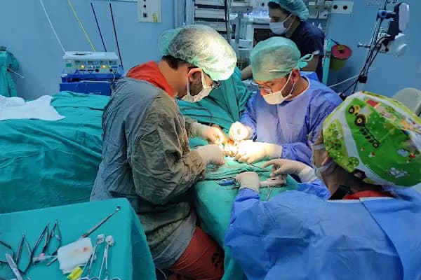 Dr. Erkan Sabri Ertaş, El Cerrahisi, Ortopedi ve Travmatoloji - El Cerrahisi Uzmanı - Ankara Yenimahalle