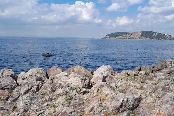 Hancy camp site - Park - İstanbul Adalar