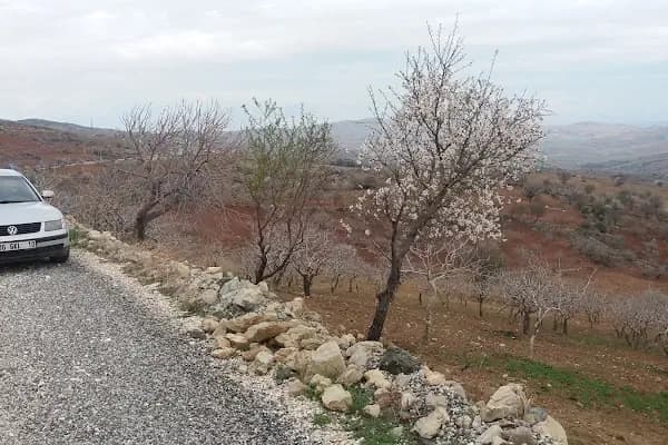 Beydili - Yerleşim Yeri - Gaziantep Araban