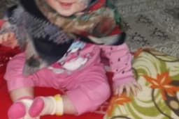 Bakkal Hasan