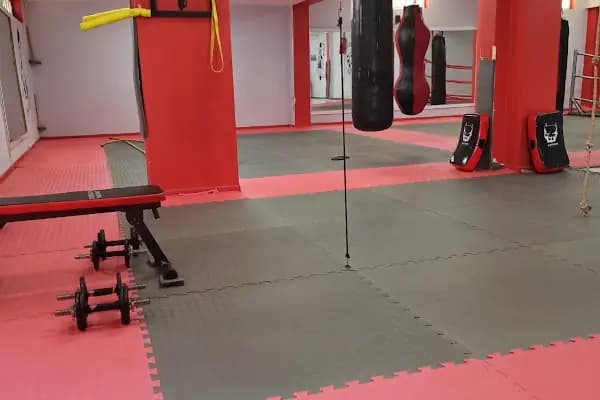 CH Fight School - Dövüş Sanatları Okulu - Şanlıurfa Ceylanpınar