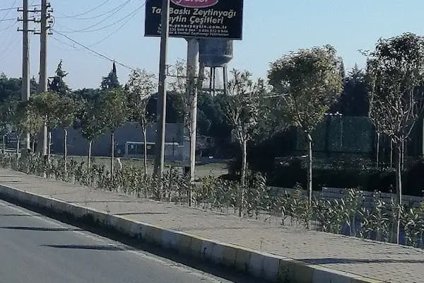 Yener Taşbaskı Zeytinyağı Fabrika Satış Noktası. - Doğal Gıda Satış Yeri - İzmir Aliağa