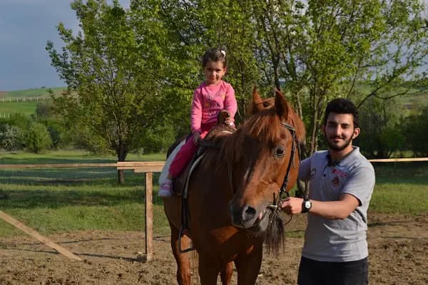 Altay At Çiftliği - At Binme Hizmeti - Ankara Yenimahalle