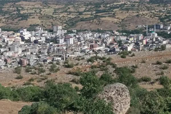 Saray İlkokulu - Okul - Diyarbakır Bağlar