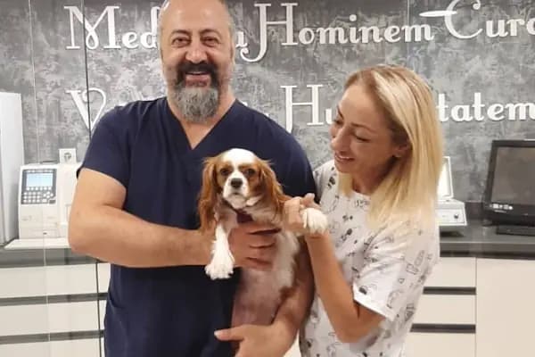 Asya Veteriner POLİKLİNİĞİ - Veteriner - İstanbul Başakşehir