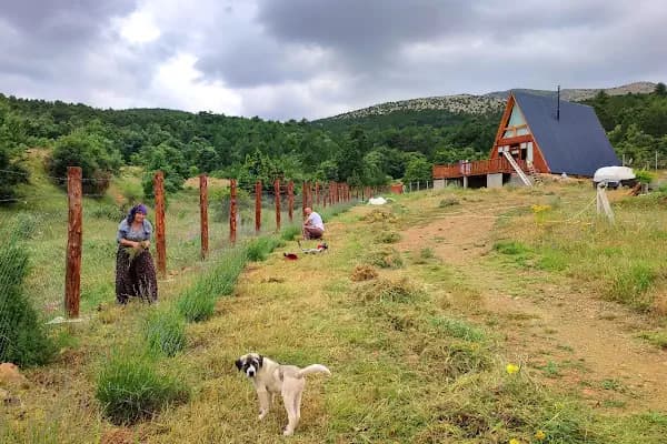 Kırsal Yaşam Çiftlik Alanı - Kamp Alanı - Konya Kadınhanı