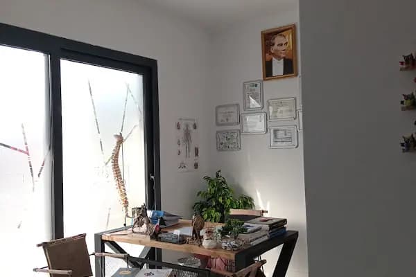 Organizma Physical Therapy Center Bodrum|Muğla - Fizik Tedavi Kliniği - Muğla Bodrum