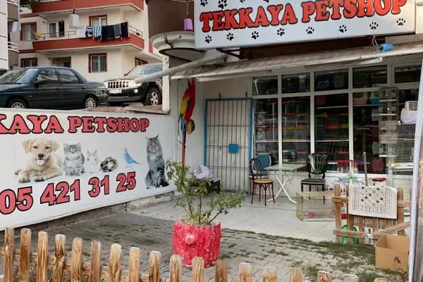 PURSAKLAR TEKKAYA PETSHOP - Evcil hayvan mağazası - Ankara Pursaklar