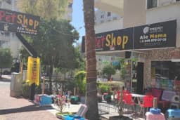 French PetShop