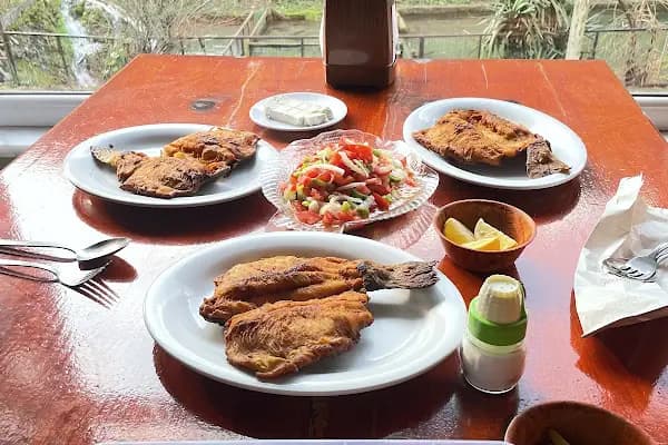 Soykan Alabalık - Balık Restoranı - Bolu Bolu Merkez