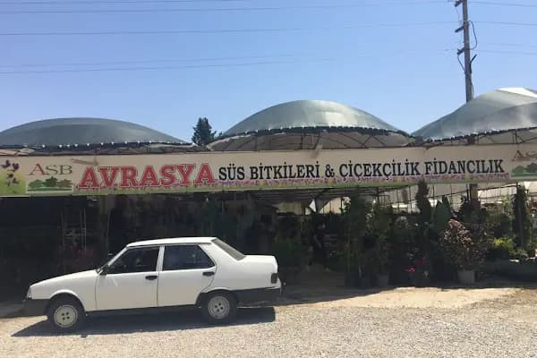Avrasya Peyzaj , Süs Bitkileri ve İklimlendirme - Peyzaj Malzemeleri Satıcısı - İzmir Balçova