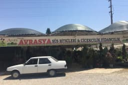 Avrasya Peyzaj , Süs Bitkileri ve İklimlendirme