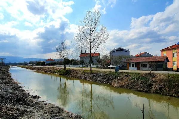 19 Mayıs - Yerleşim Yeri - Samsun 19 Mayıs