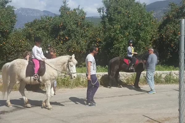 at çiftik ayhan - At Binme Hizmeti - Antalya Alanya