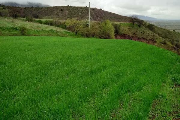 Avşar - Yerleşim Yeri - Sivas Akıncılar