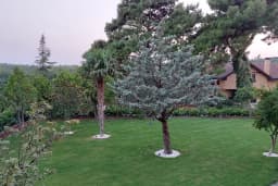 Çamlıtepe Orman Evleri