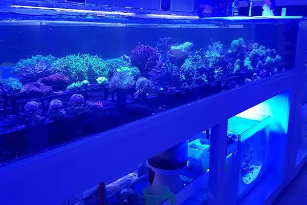 Emirhan akvaryum&amp;petshop - Evcil hayvan mağazası - Bursa Osmangazi