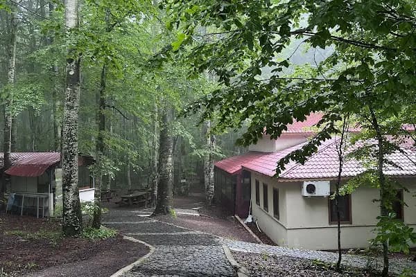 Eriklitepe Tabiat Parkı - Milli Park - Kocaeli Başiskele