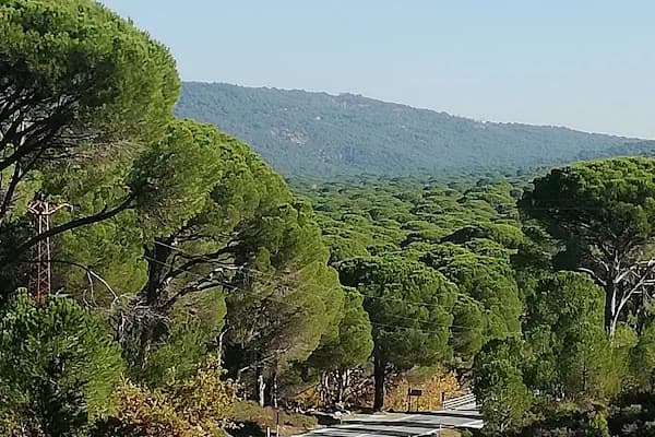 İzmir/bergama/Kozak Yaylasi - Doğa Koruma Alanı - İzmir Torbalı