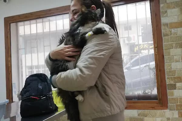 Pan-vet Veteriner Kliniği - Veteriner - İzmir Konak