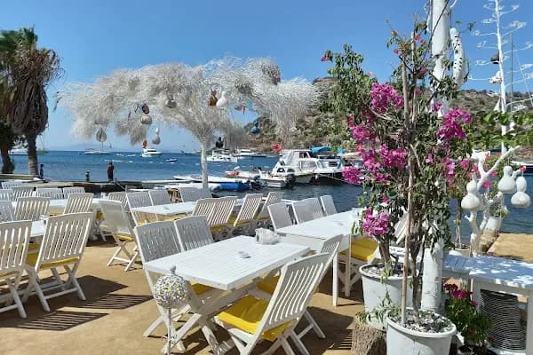 Mimoza Gümüşlük Restaurant - Restoran - Muğla Bodrum