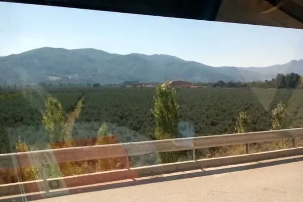 ORAU Orhan Otomotiv Bursa Serbest Bölge Gemlik şubesi - Araba Fabrikası - Bursa Gemlik
